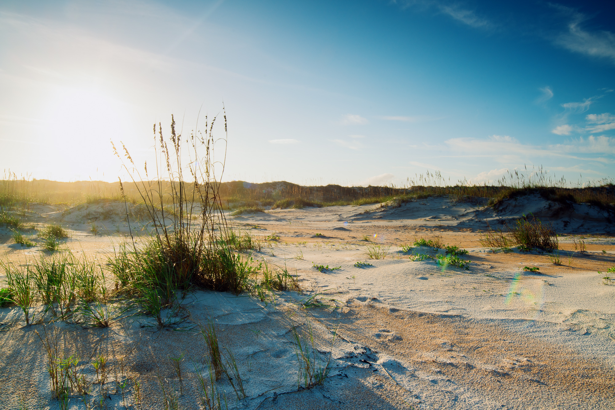 Anastasia State Park A Gradual Epiphany   2019 11 07 14 50 00 AnastasiaStPk 0335 